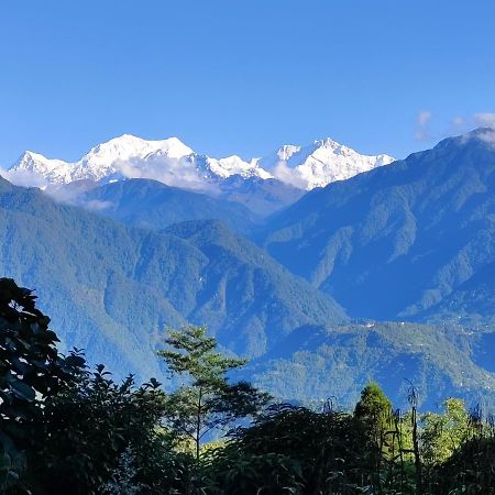 Wake In Himalayas Hostel Pelling Bagian luar foto